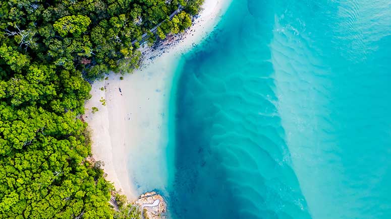 Aerial view of white sand beach bordered by forest and blue waters